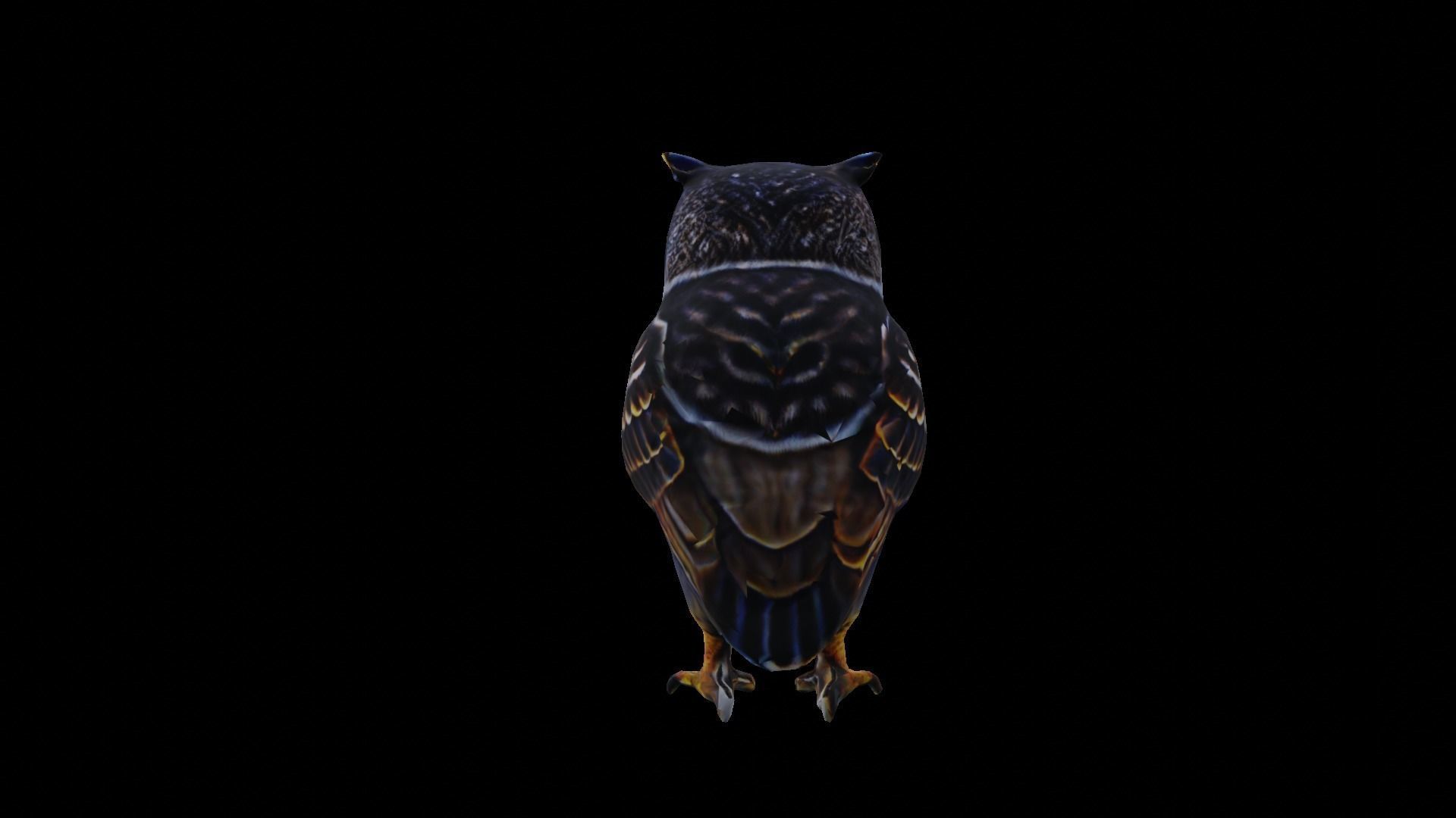 Owl Low Poly Low-poly 3D model_11