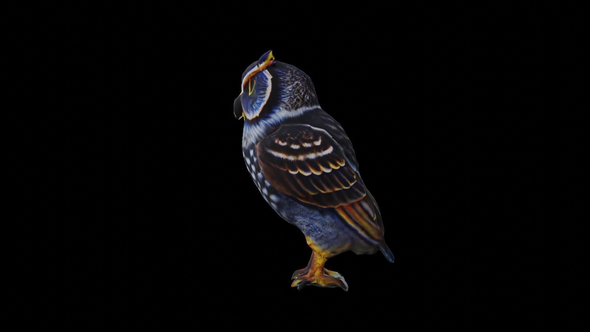 Owl Low Poly Low-poly 3D model_13