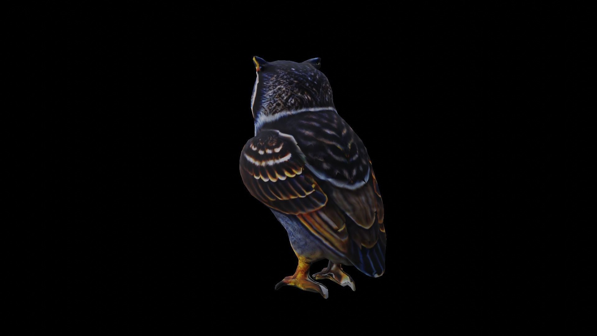 Owl Low Poly Low-poly 3D model_12