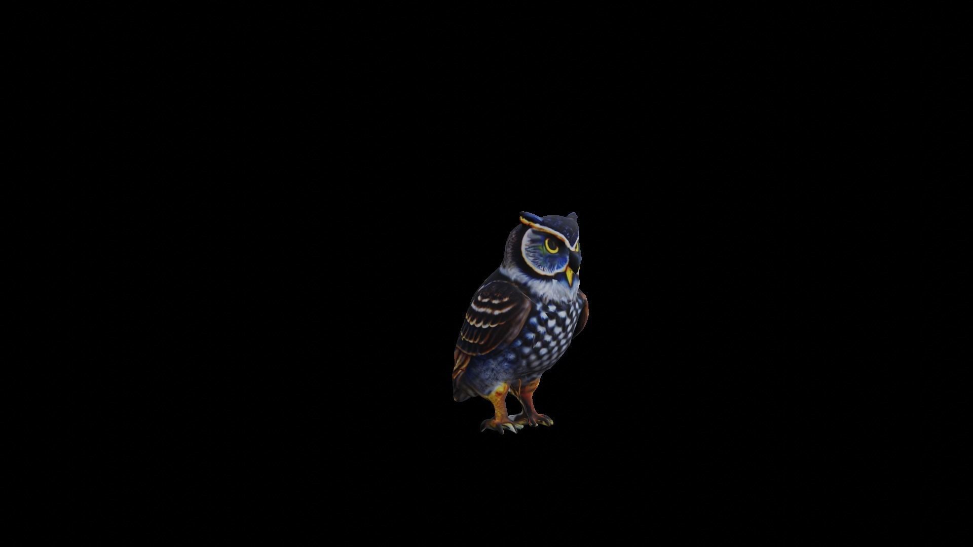 Owl Low Poly Low-poly 3D model_3