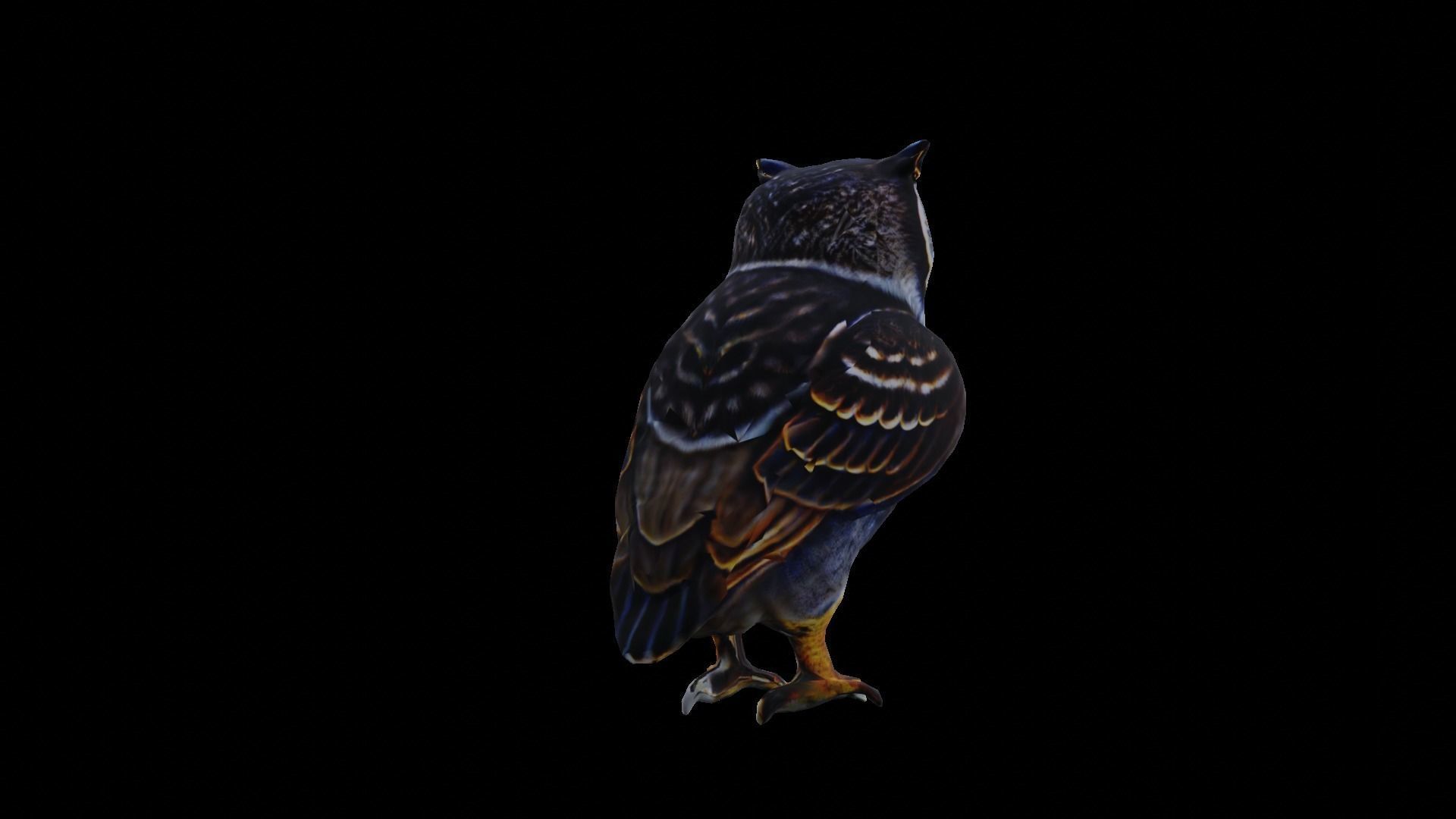 Owl Low Poly Low-poly 3D model_10