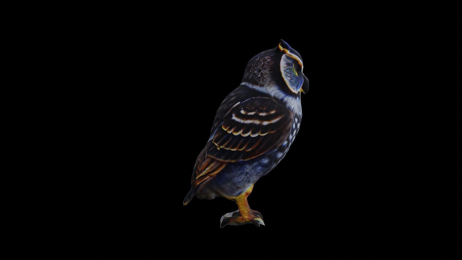 Owl Low Poly Low-poly 3D model_9