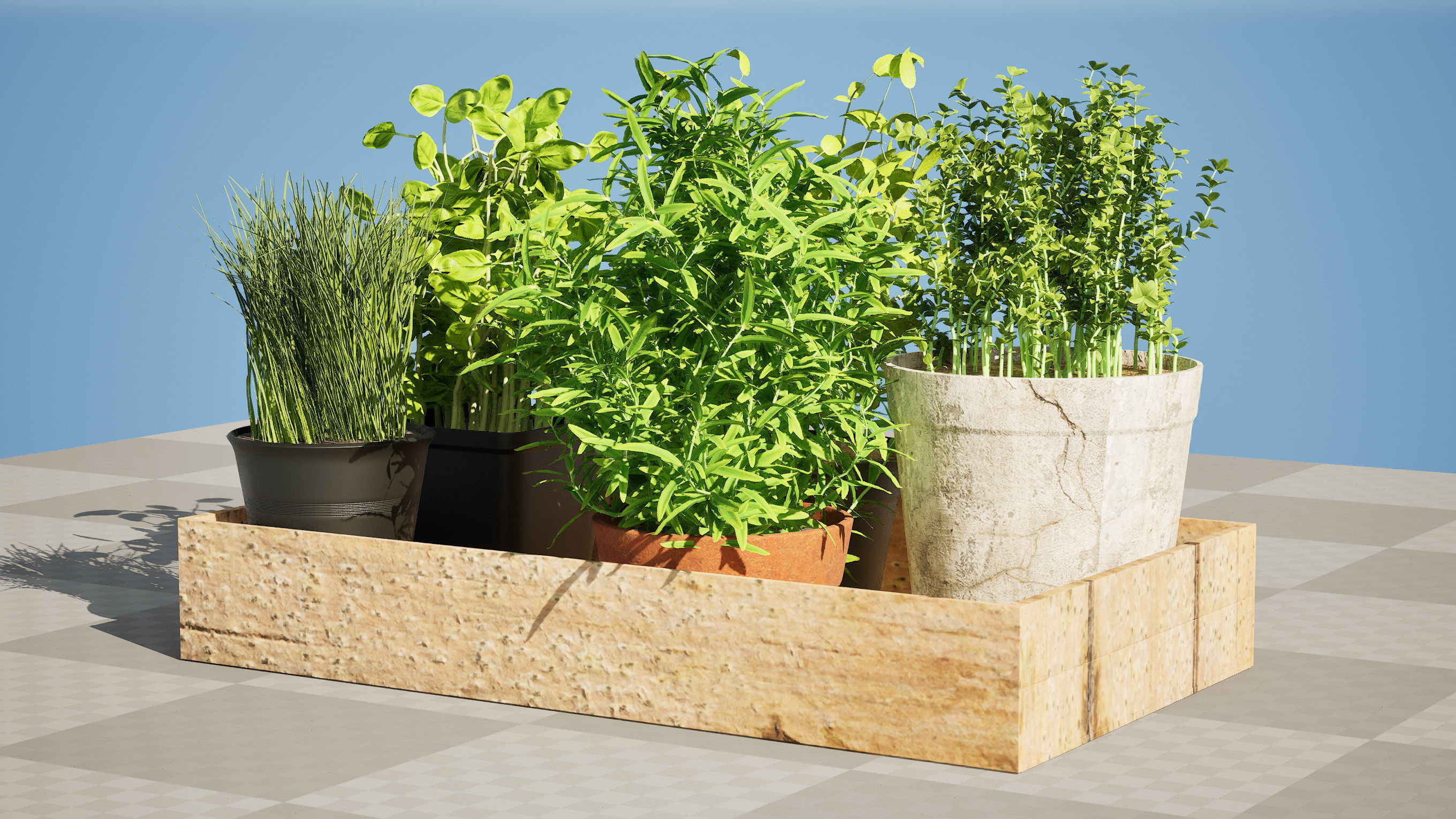 Wooden Planter with Herb Plants with free tutorial Low-poly 3D model_5