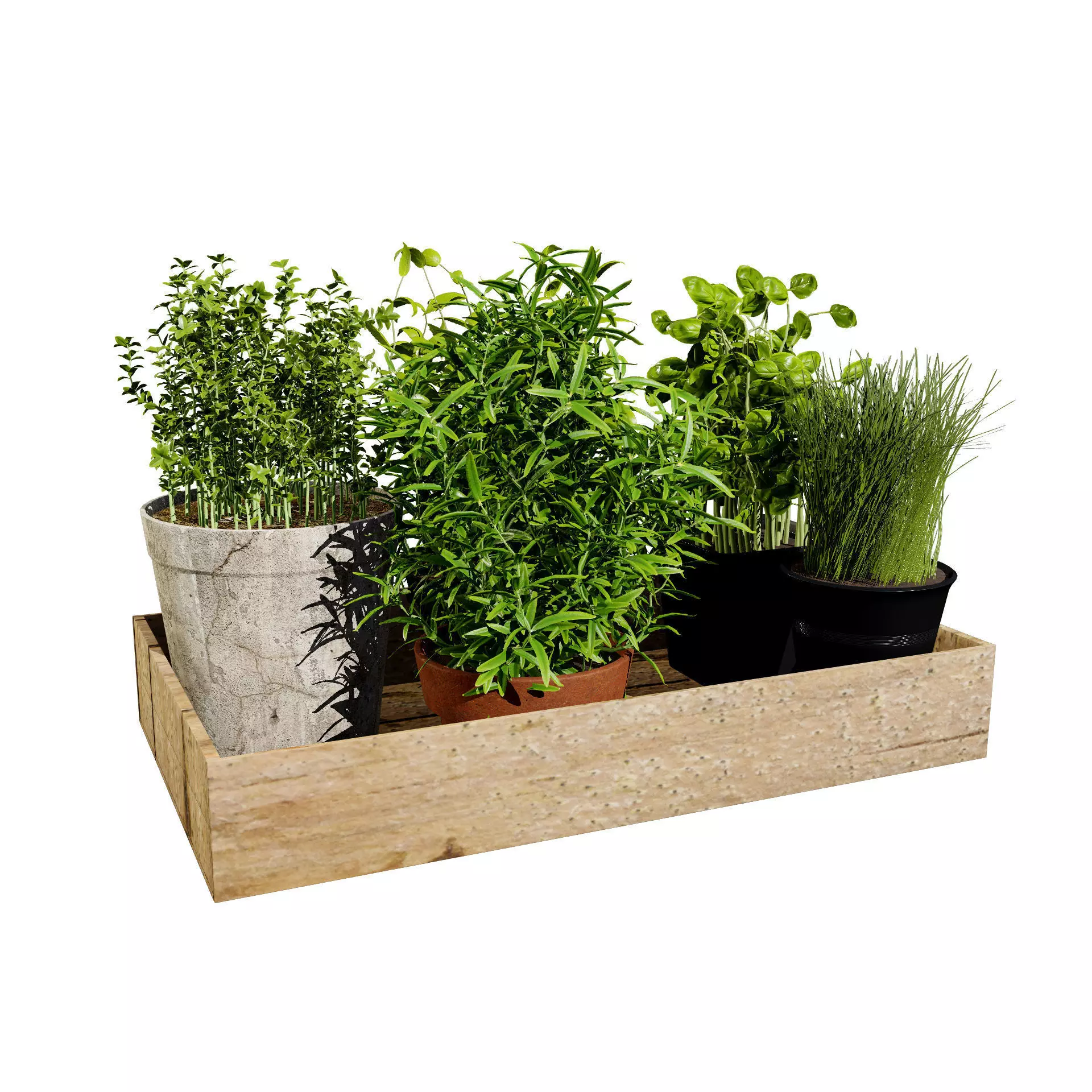 Wooden Planter with Herb Plants with free tutorial Low-poly 3D model_0