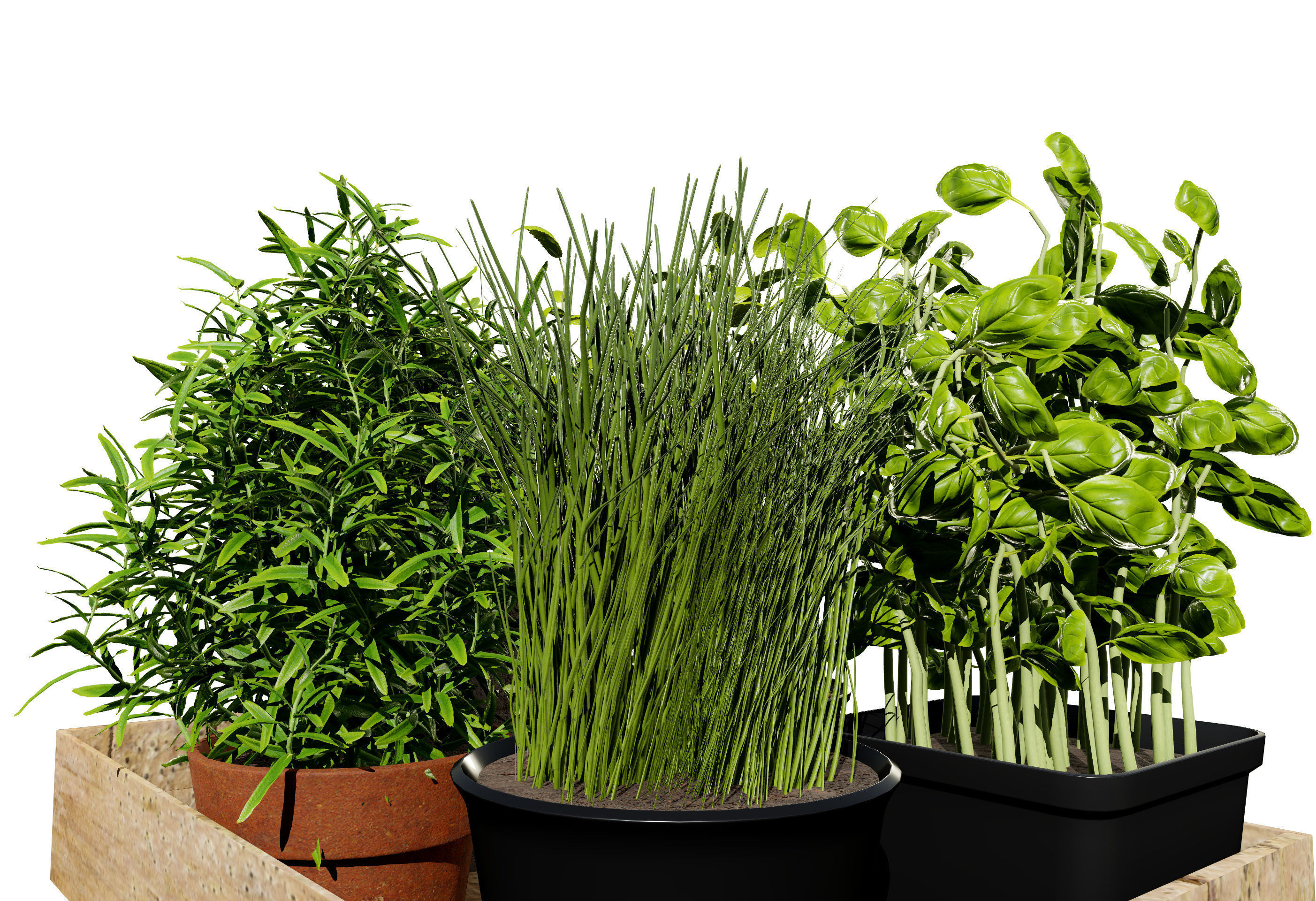 Wooden Planter with Herb Plants with free tutorial Low-poly 3D model_7