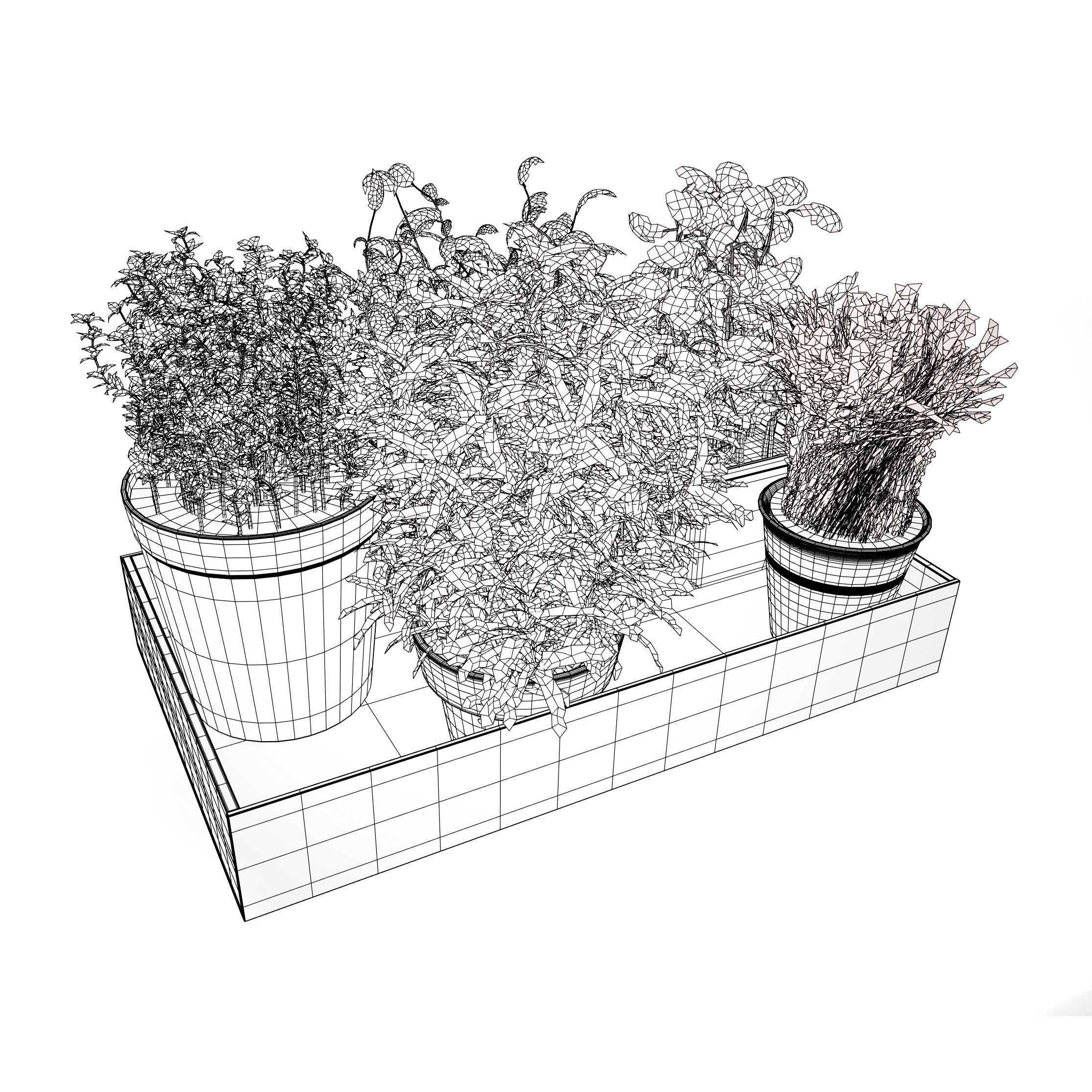 Wooden Planter with Herb Plants with free tutorial Low-poly 3D model_9