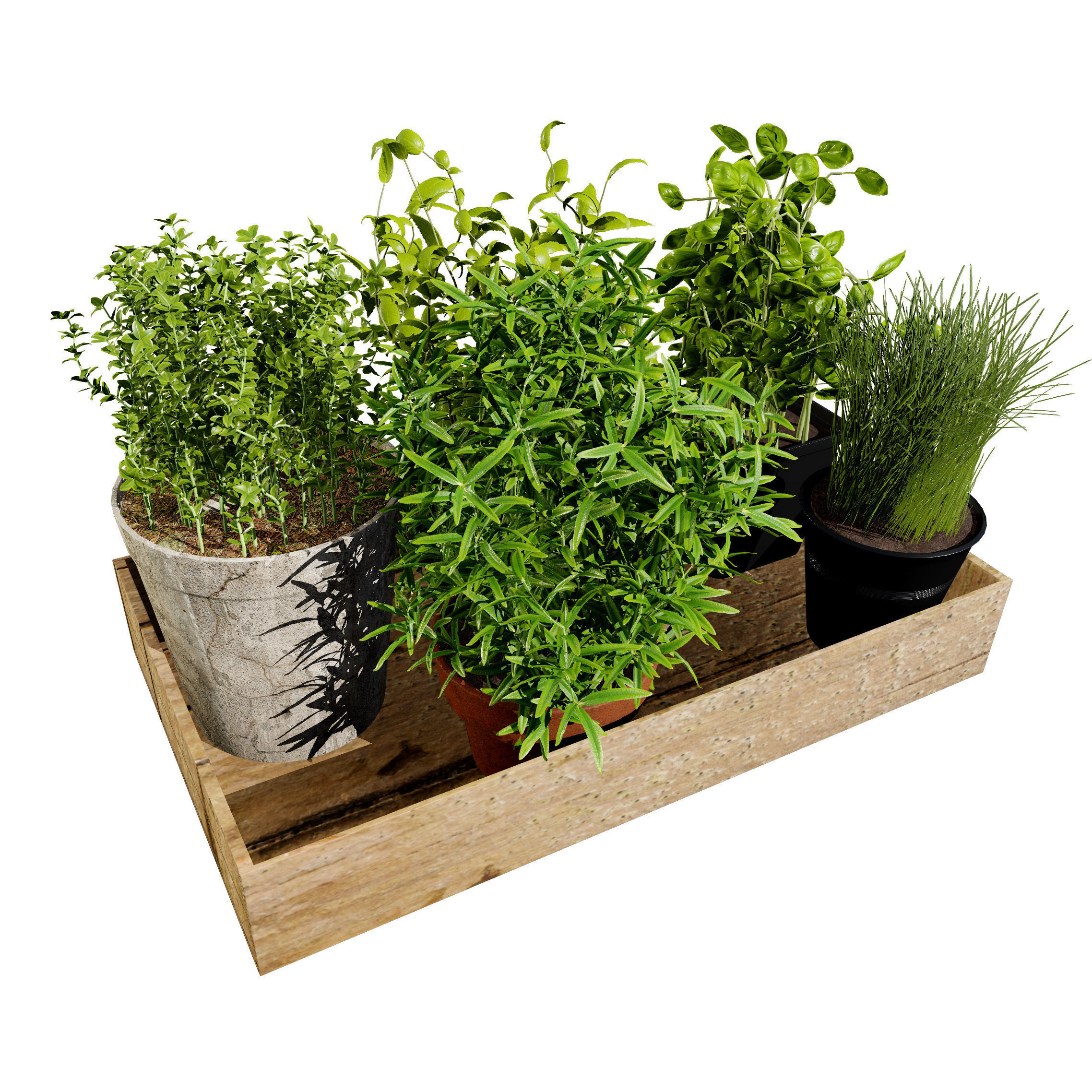 Wooden Planter with Herb Plants with free tutorial Low-poly 3D model_2