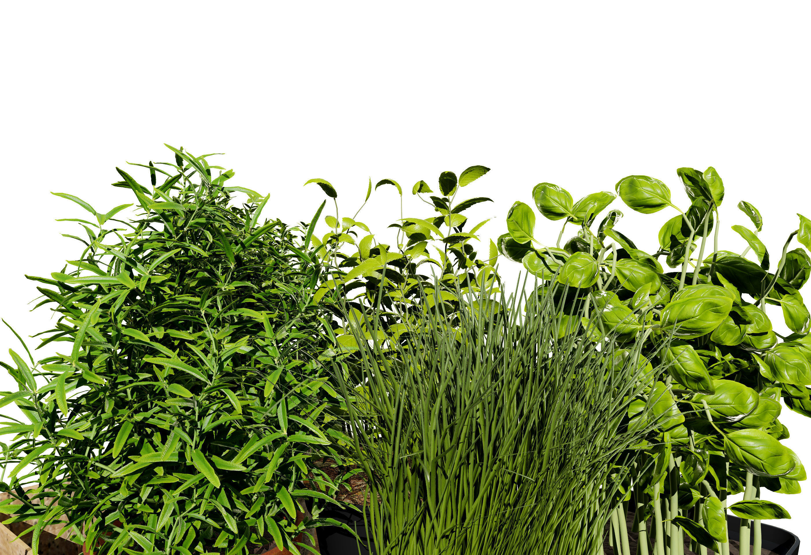 Wooden Planter with Herb Plants with free tutorial Low-poly 3D model_3