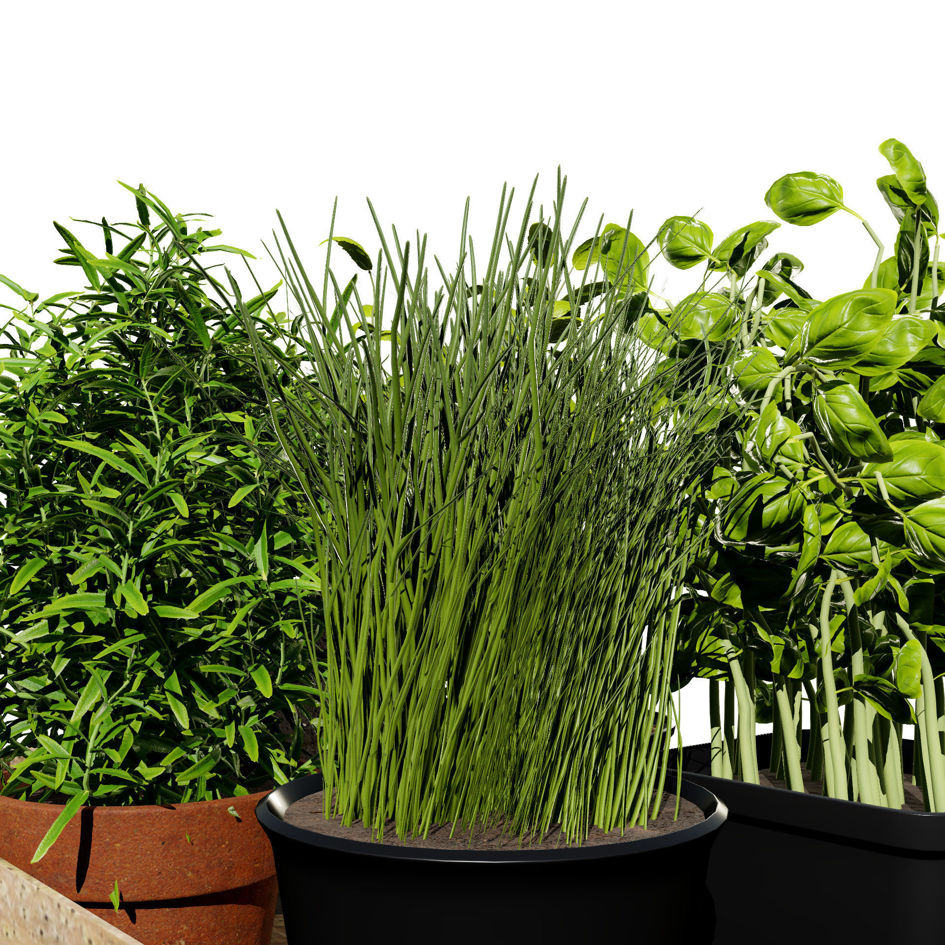 Wooden Planter with Herb Plants with free tutorial Low-poly 3D model_8