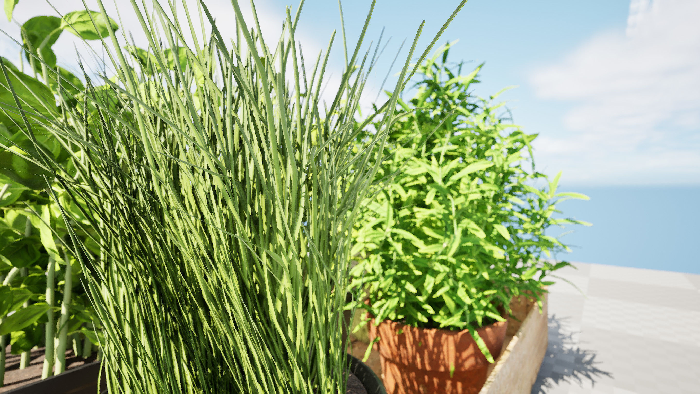 Wooden Planter with Herb Plants with free tutorial Low-poly 3D model_4