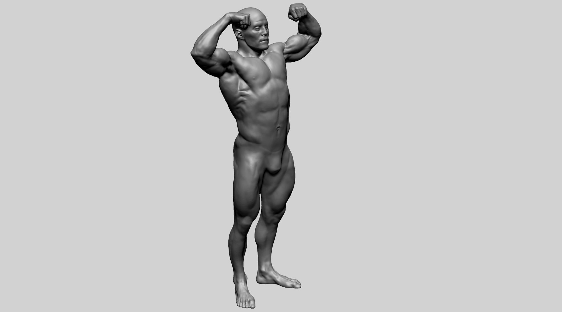 Male Anatomy F 3D model_2