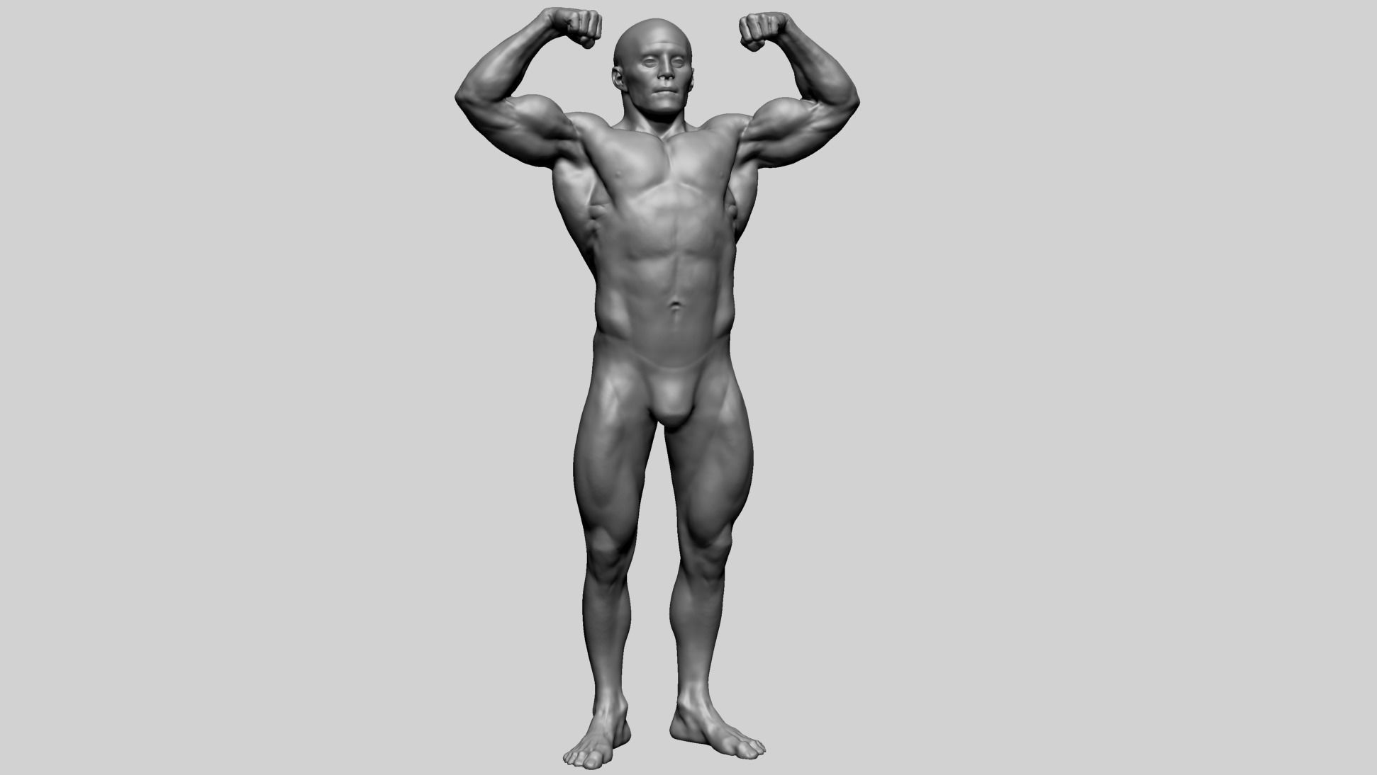 Male Anatomy F 3D model_1