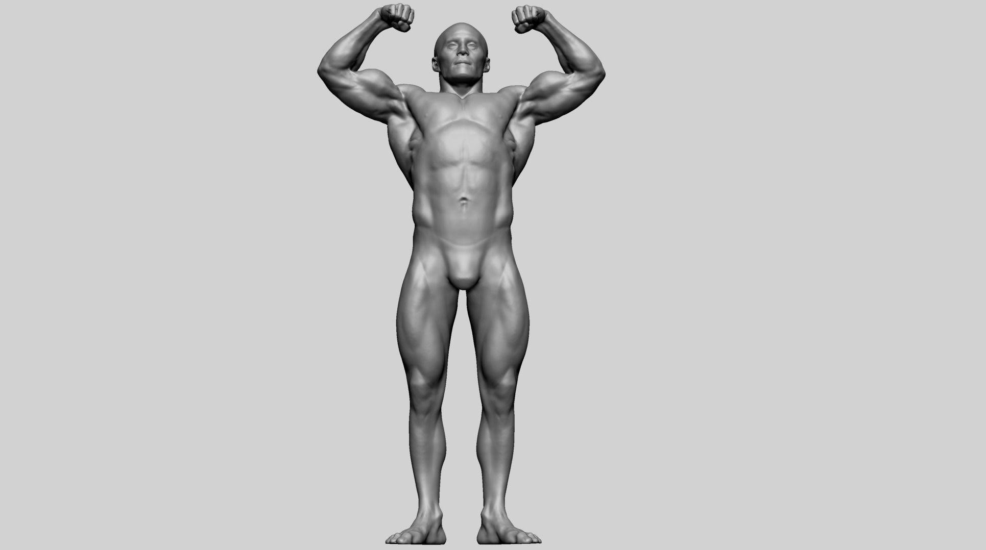 Male Anatomy F 3D model_6