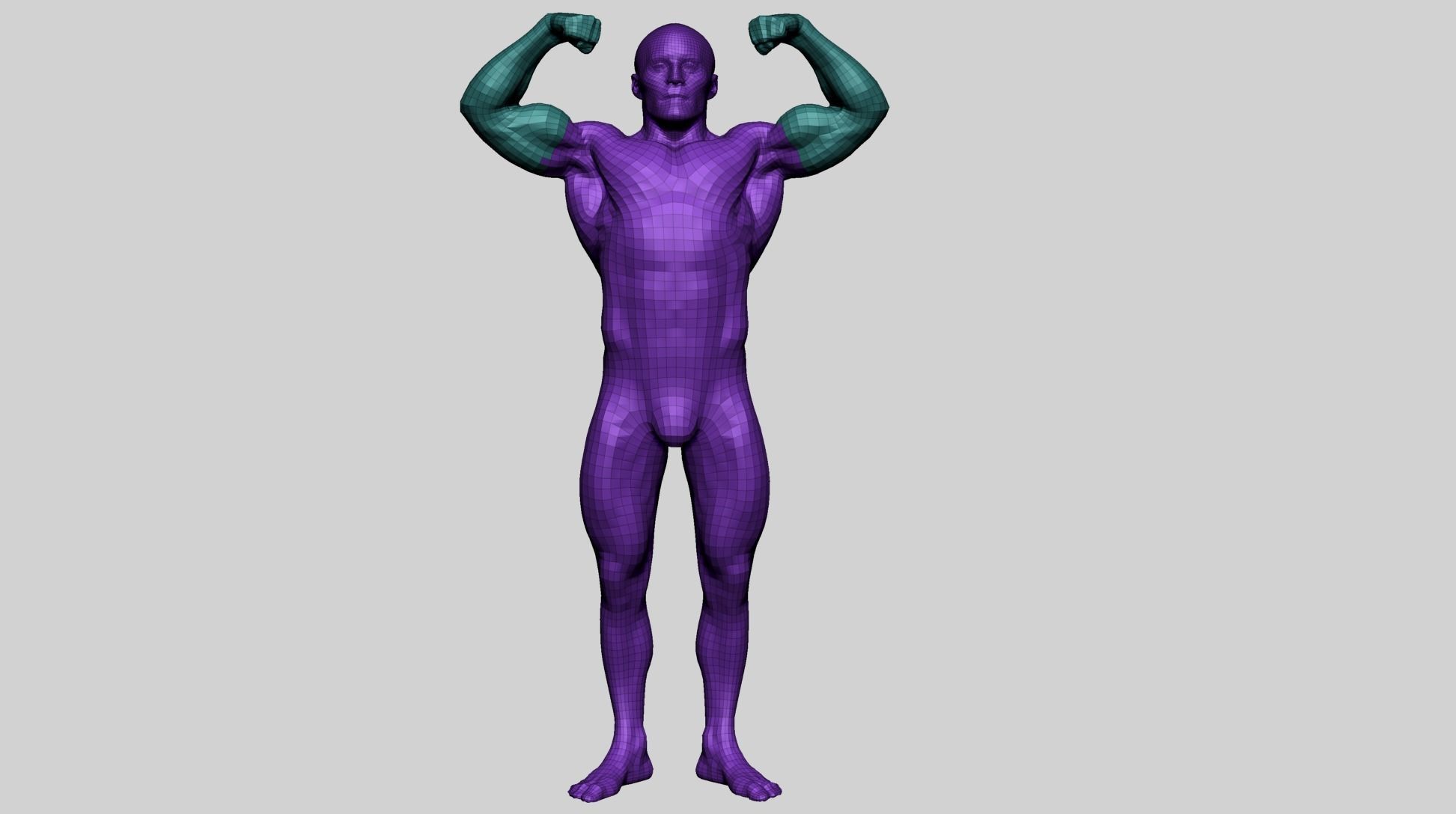 Male Anatomy F 3D model_10