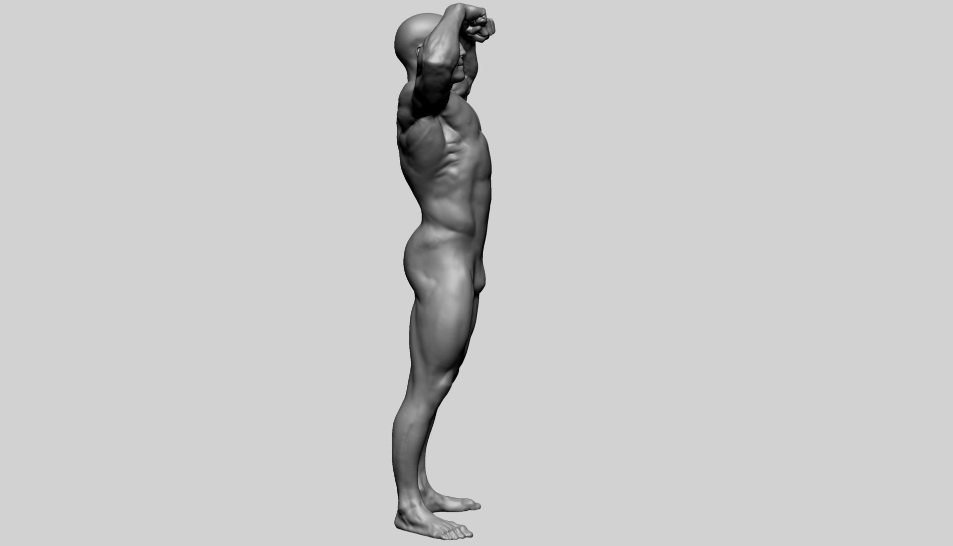 Male Anatomy F 3D model_7
