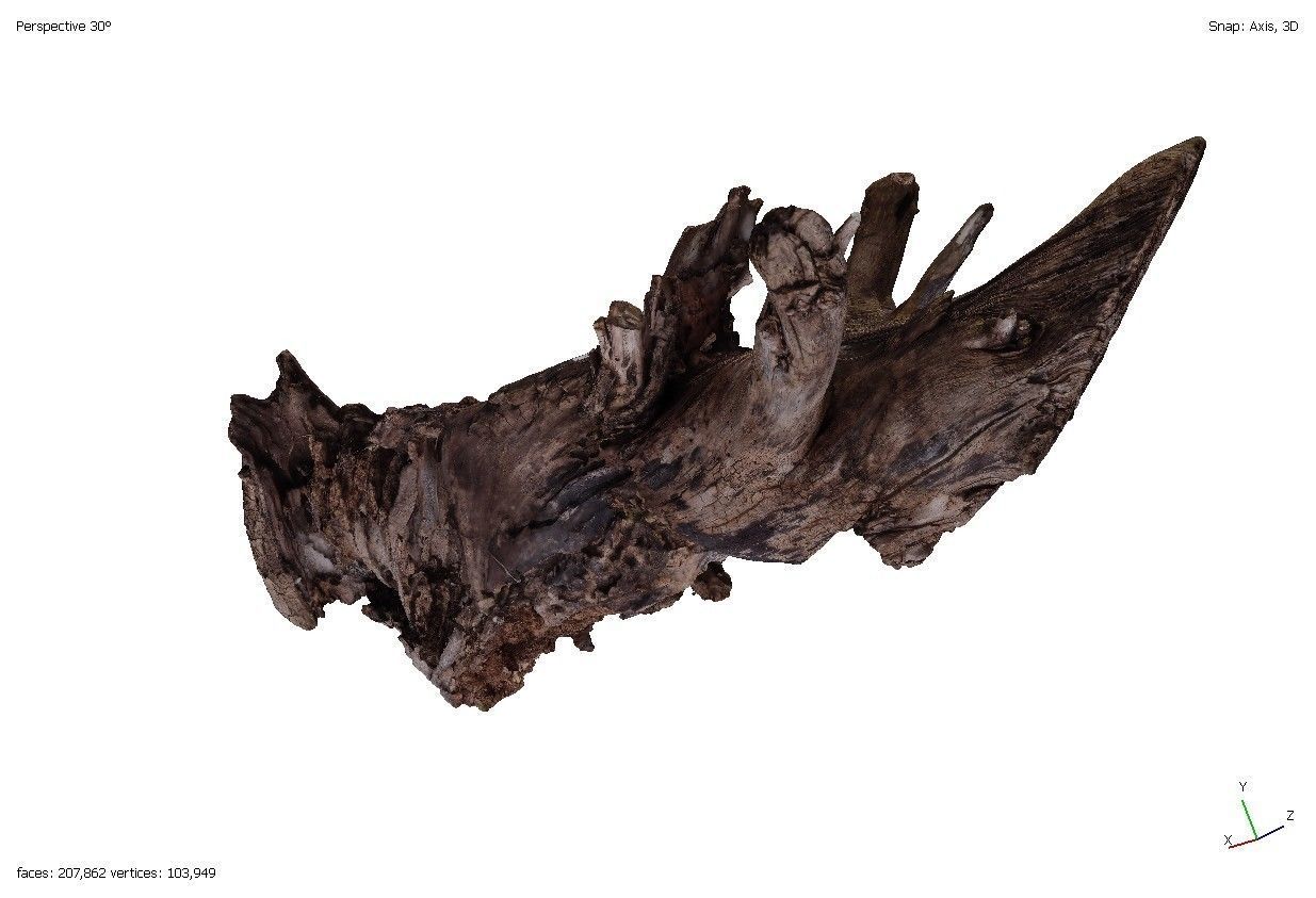 Four old rotten wooden stumps 3D model_13