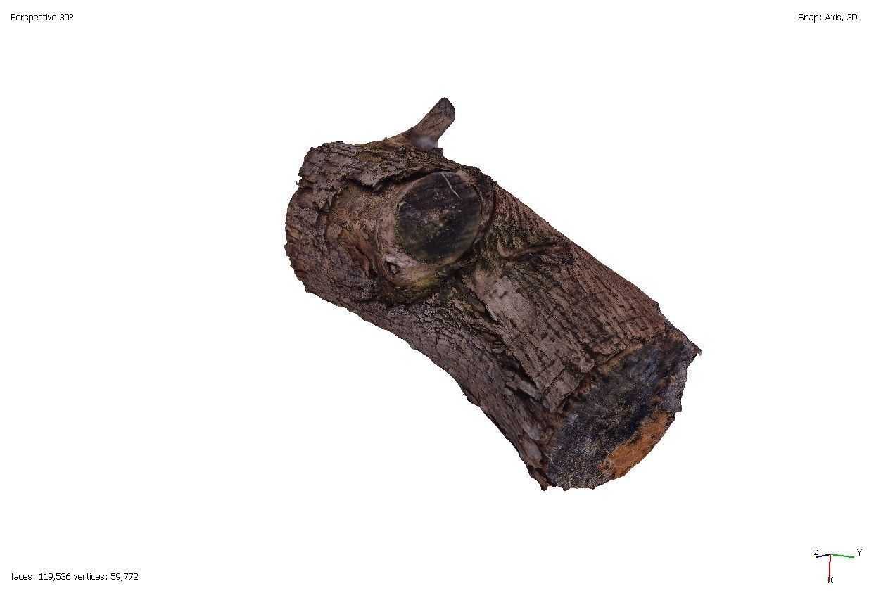 Four old rotten wooden stumps 3D model_6