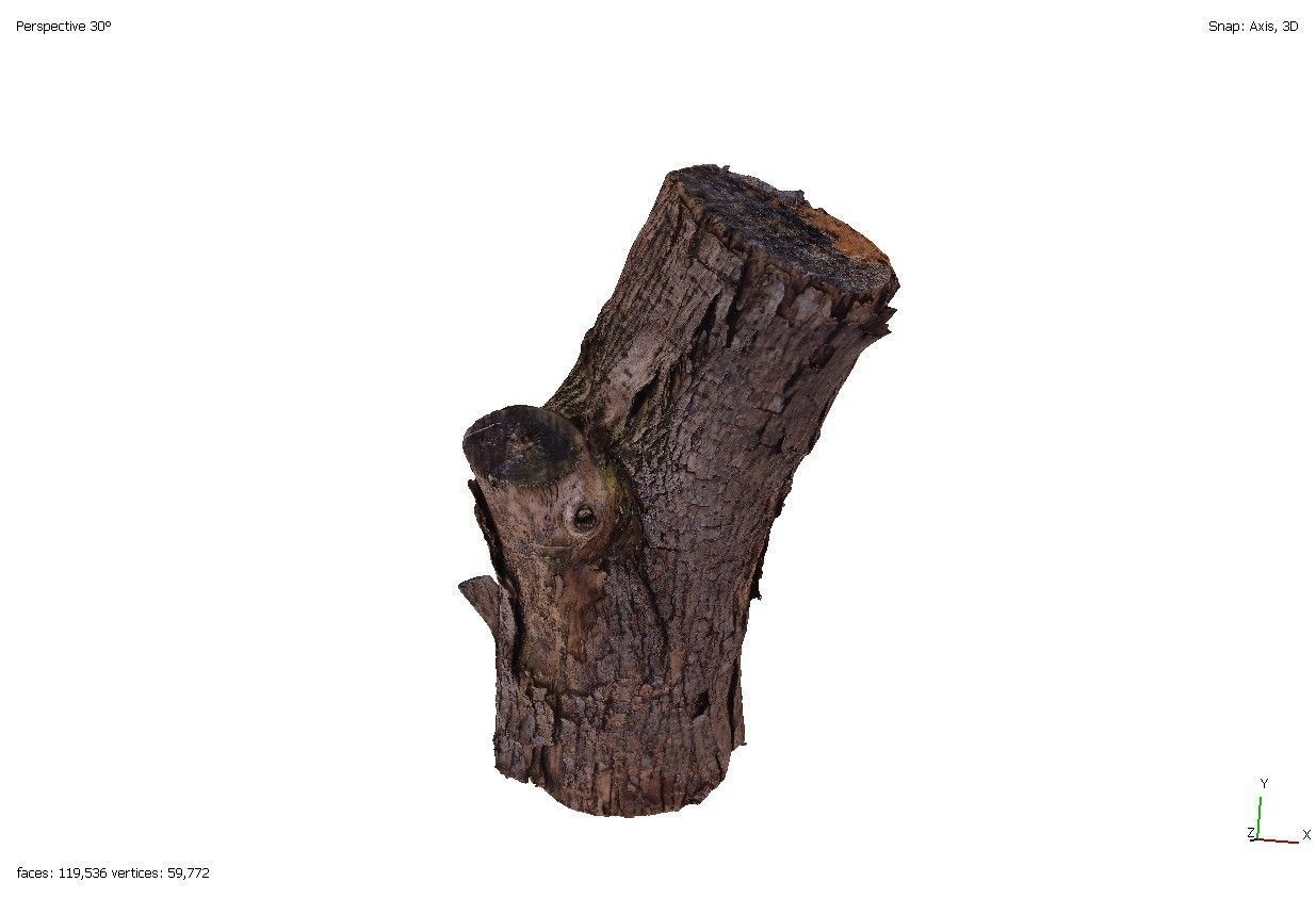 Four old rotten wooden stumps 3D model_4