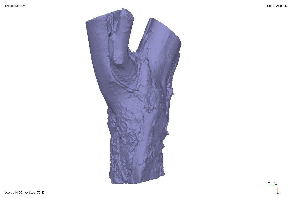 Four old rotten wooden stumps 3D model_3