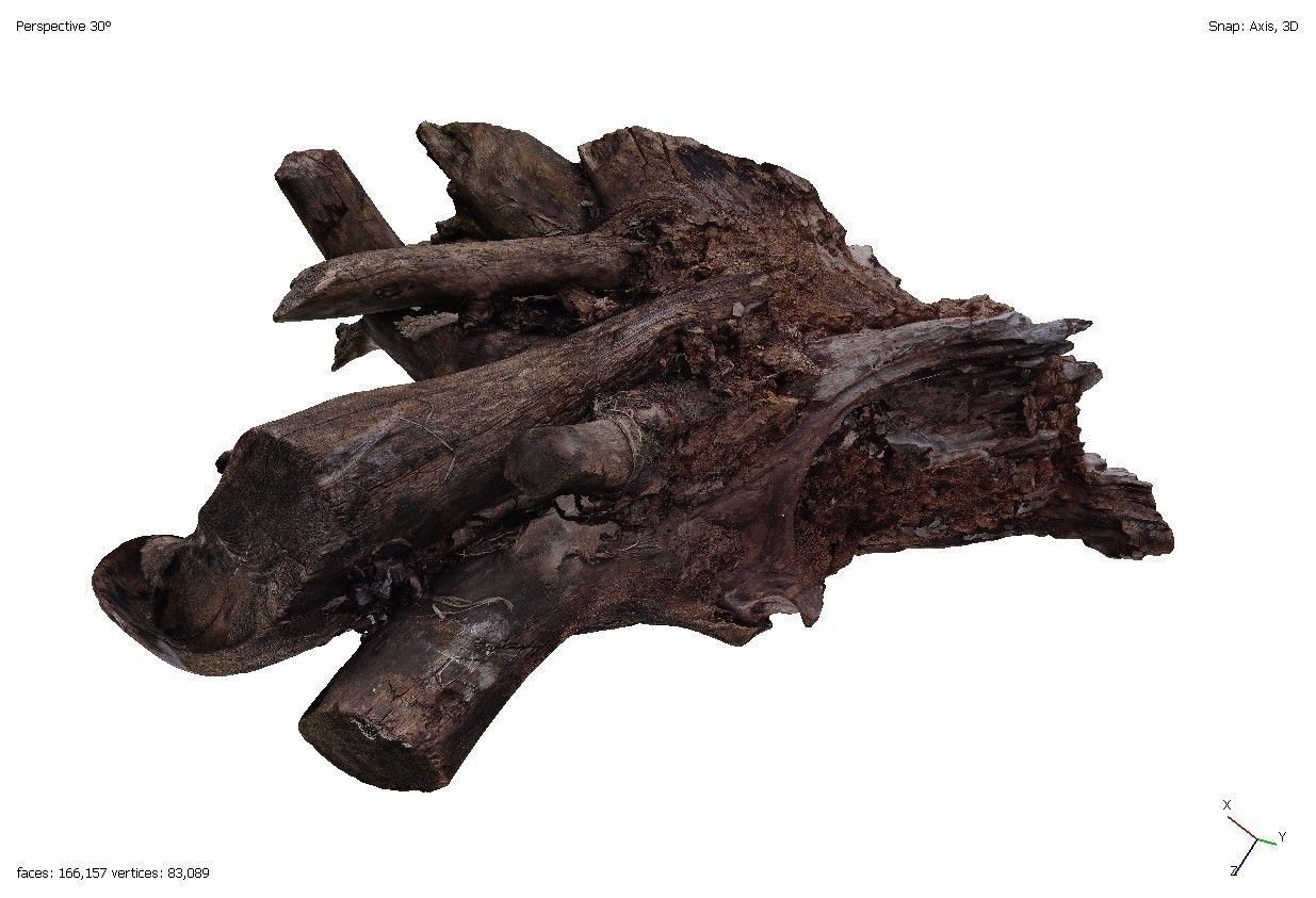 Four old rotten wooden stumps 3D model_8