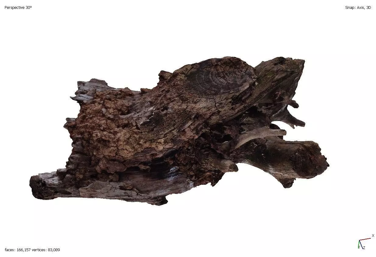 Four old rotten wooden stumps 3D model_0