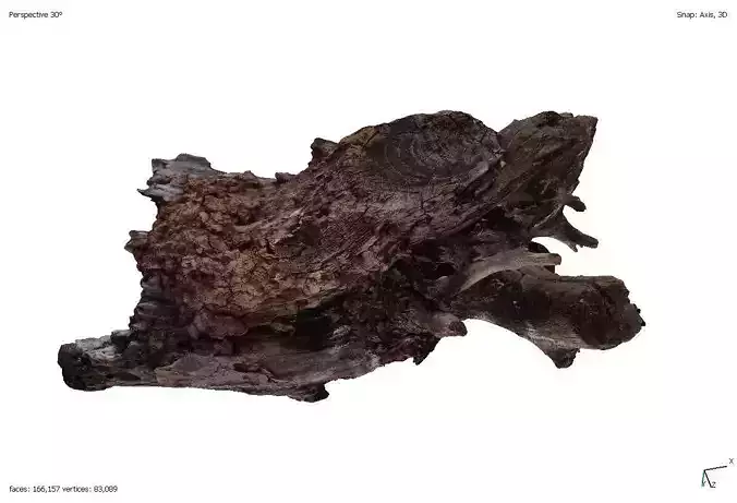 Four old rotten wooden stumps