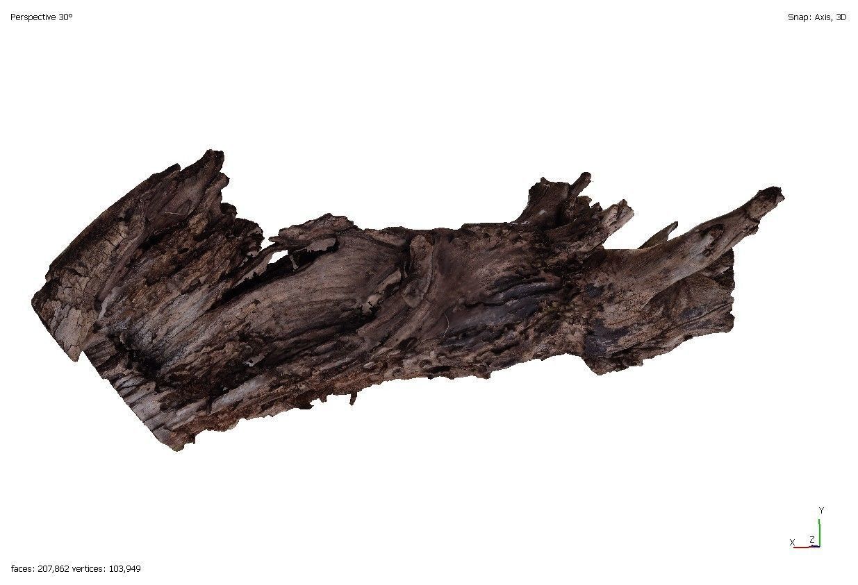 Four old rotten wooden stumps 3D model_12