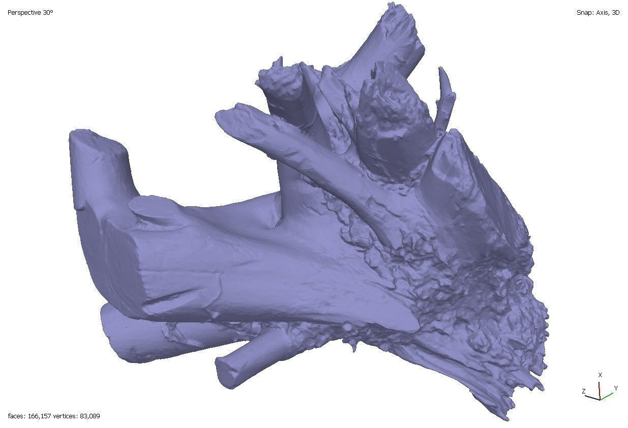 Four old rotten wooden stumps 3D model_10