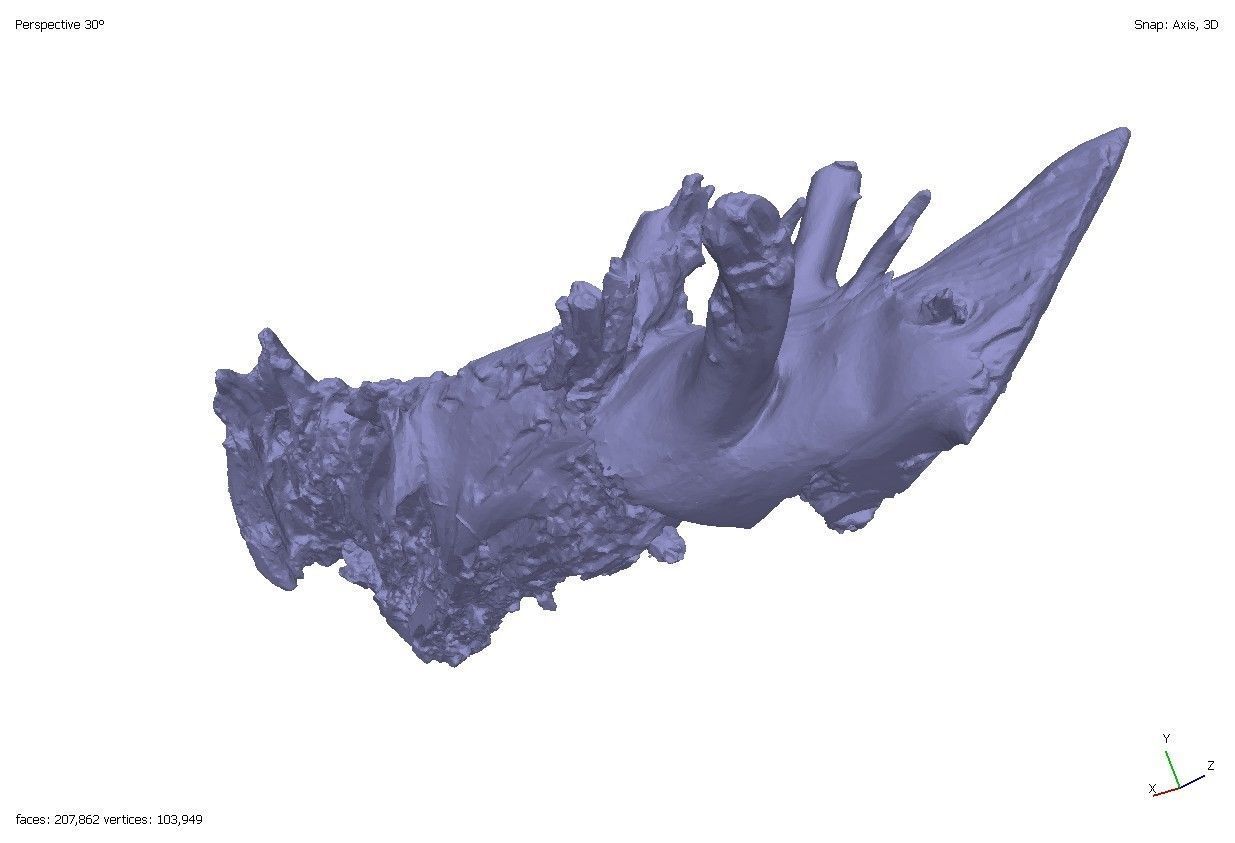 Four old rotten wooden stumps 3D model_14