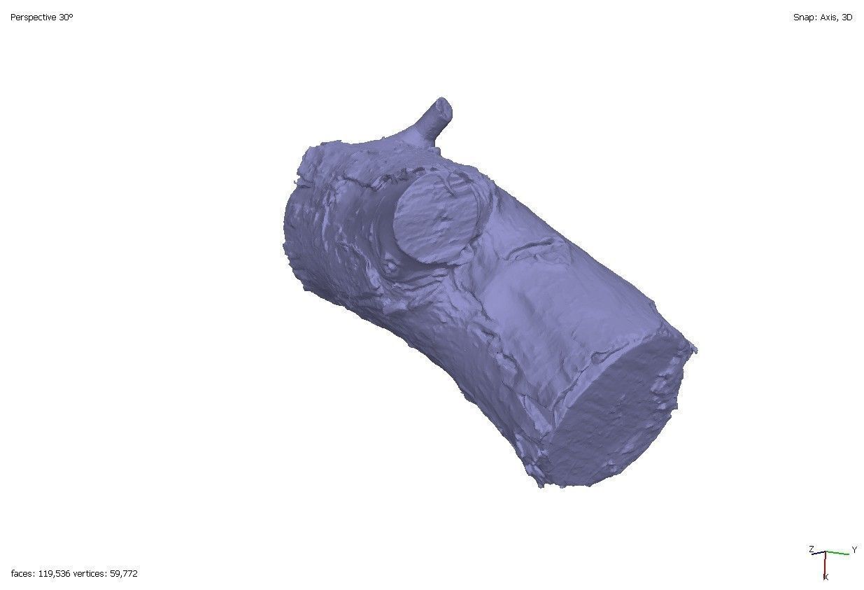 Four old rotten wooden stumps 3D model_7