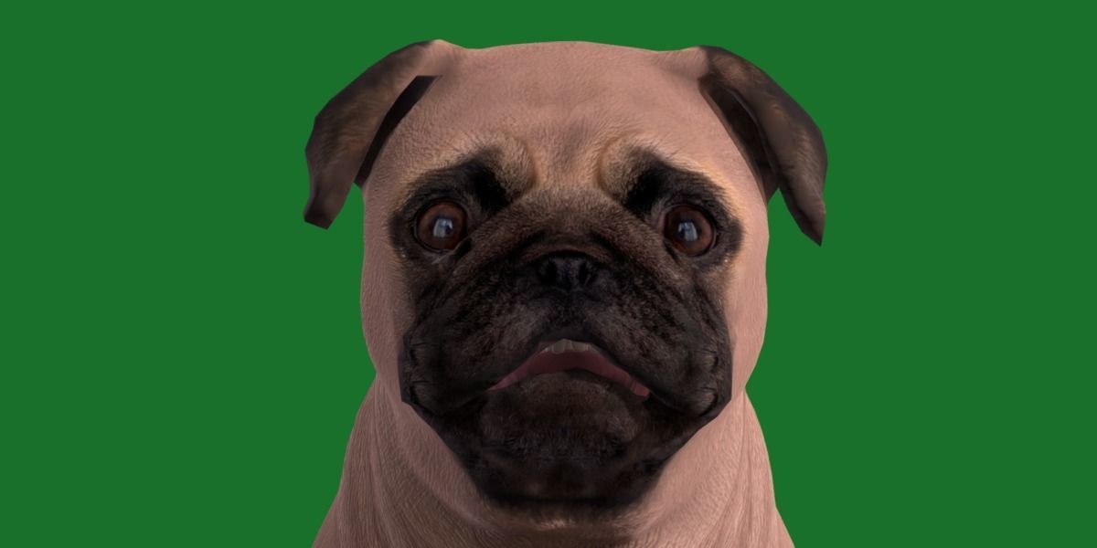Pug Dog Breed Low-poly 3D model_26