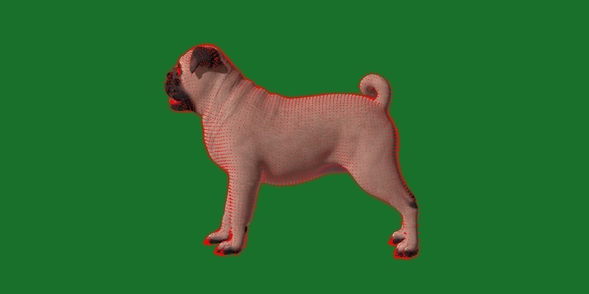 Pug Dog Breed Low-poly 3D model_15