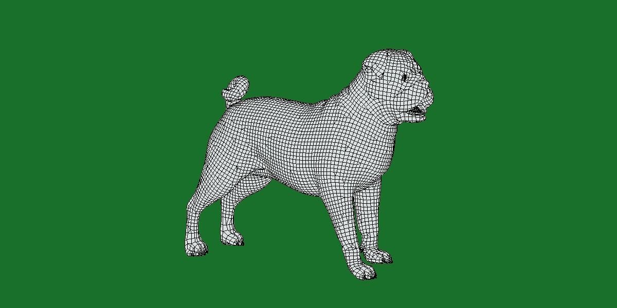 Pug Dog Breed Low-poly 3D model_13