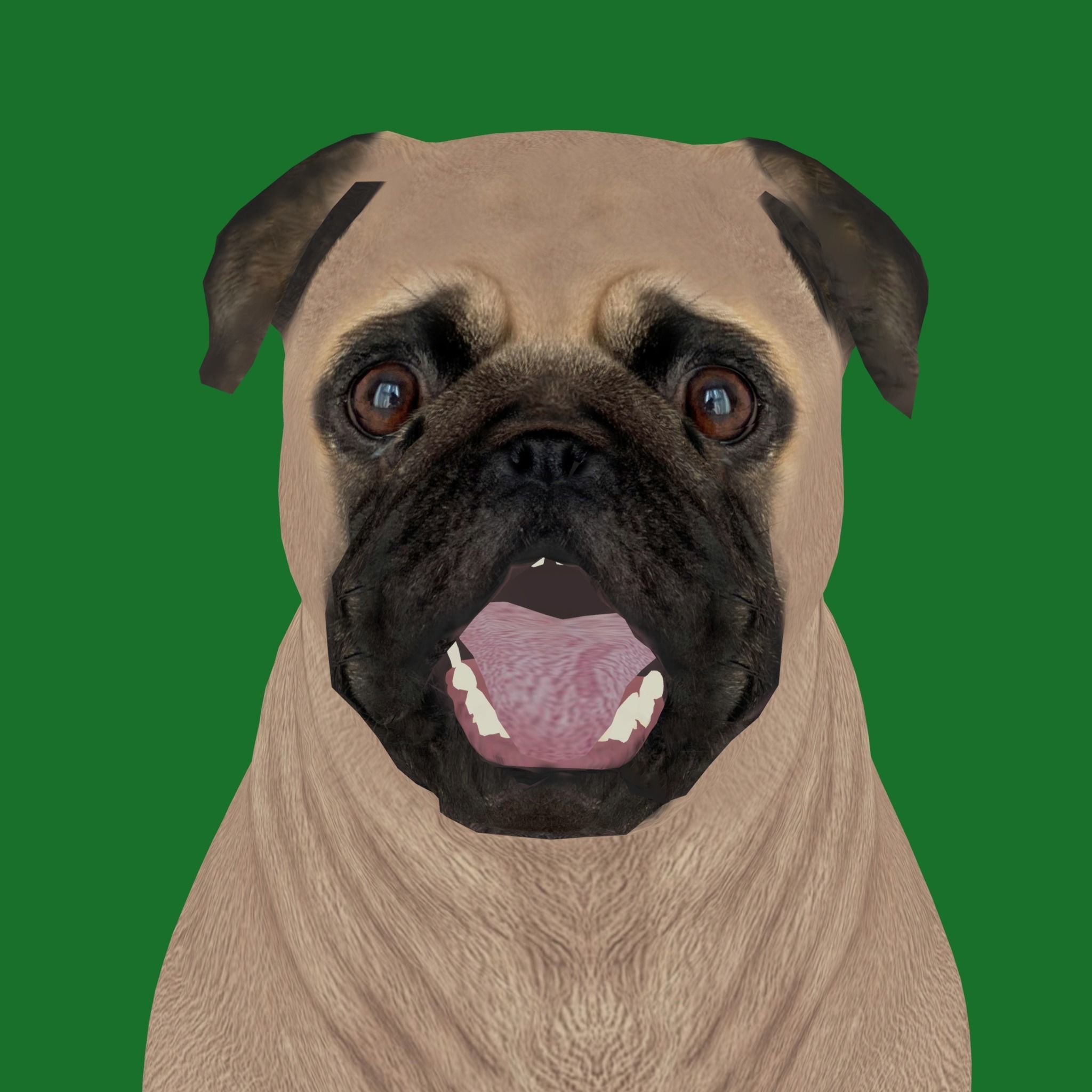 Pug Dog Breed Low-poly 3D model_19