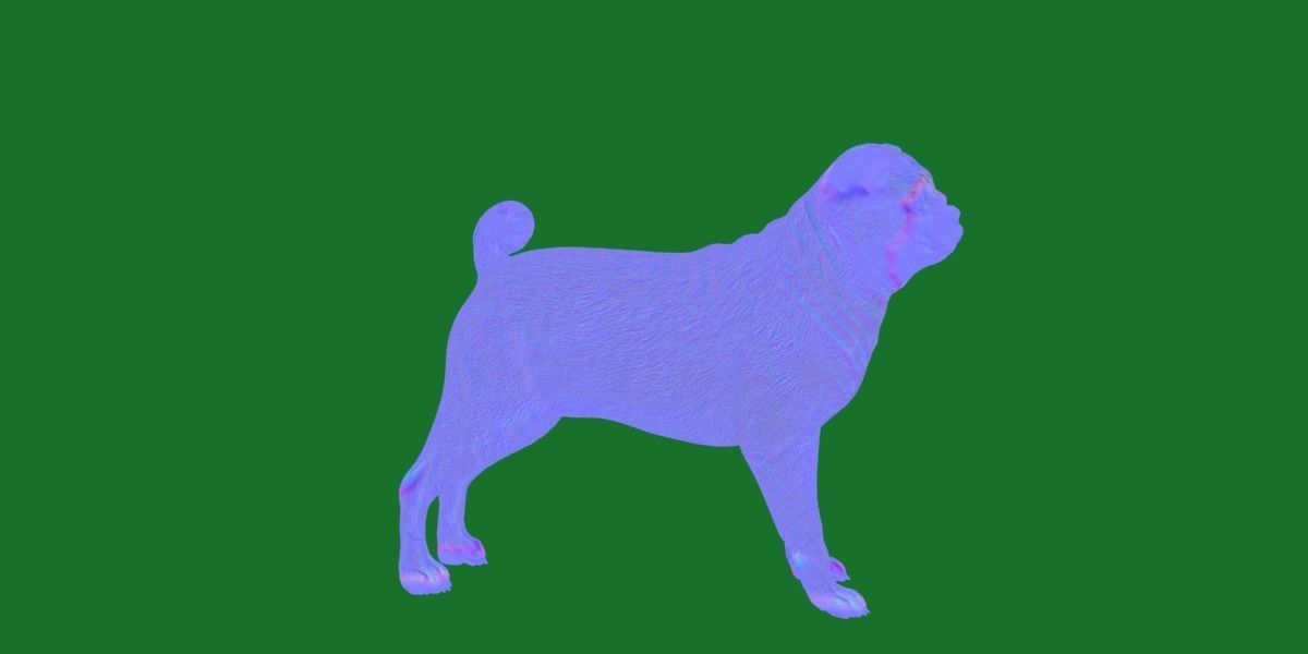 Pug Dog Breed Low-poly 3D model_27
