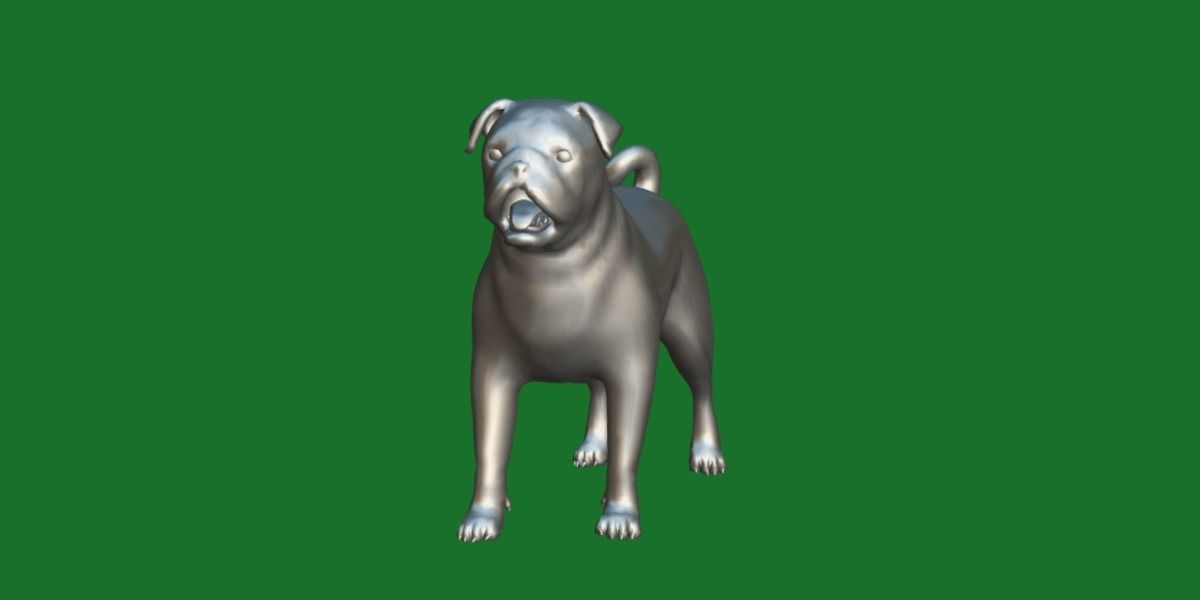 Pug Dog Breed Low-poly 3D model_11