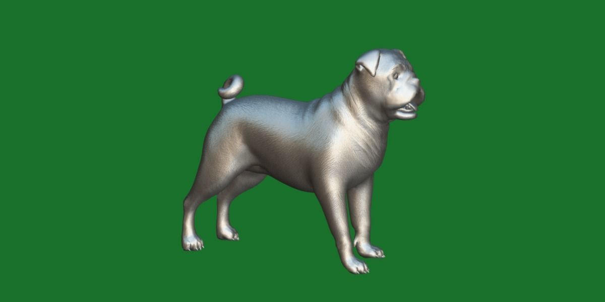 Pug Dog Breed Low-poly 3D model_12