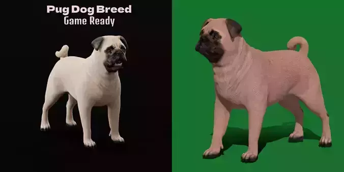 Pug Dog Breed Low-poly 3D model
