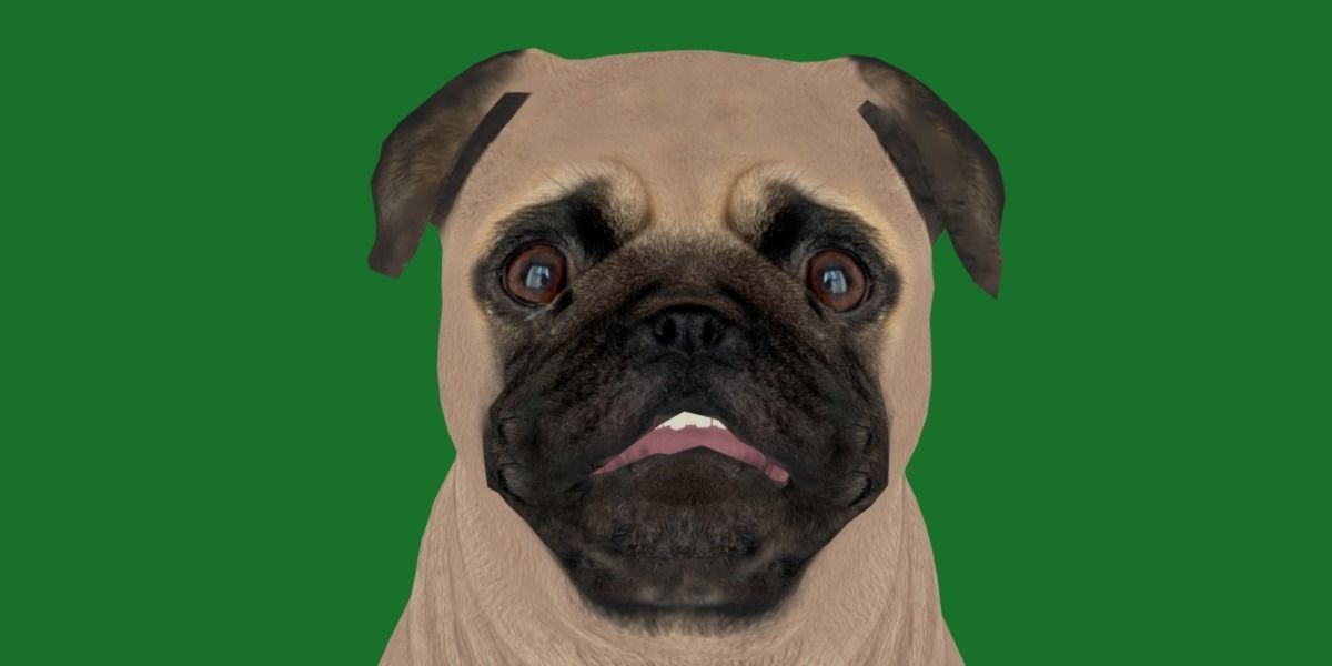 Pug Dog Breed Low-poly 3D model_25