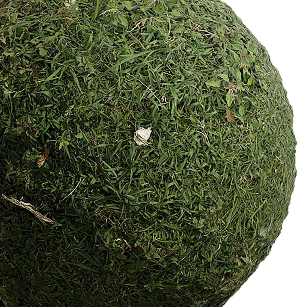 Grass Seamless Texture 2K - EXR 5 - JPG 5 Texture Texture_1