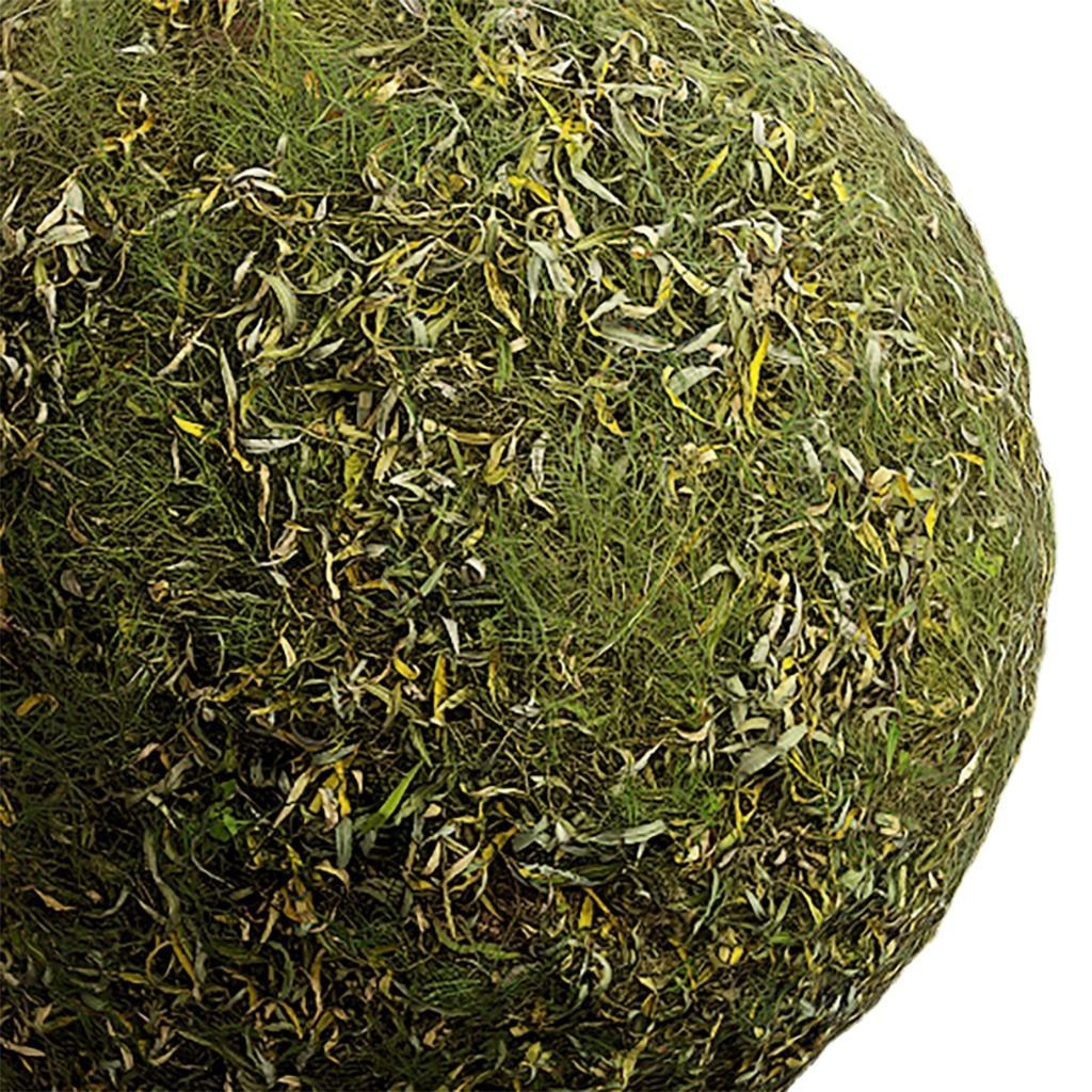 Grass Seamless Texture 2K - EXR 5 - JPG 5 Texture Texture_4