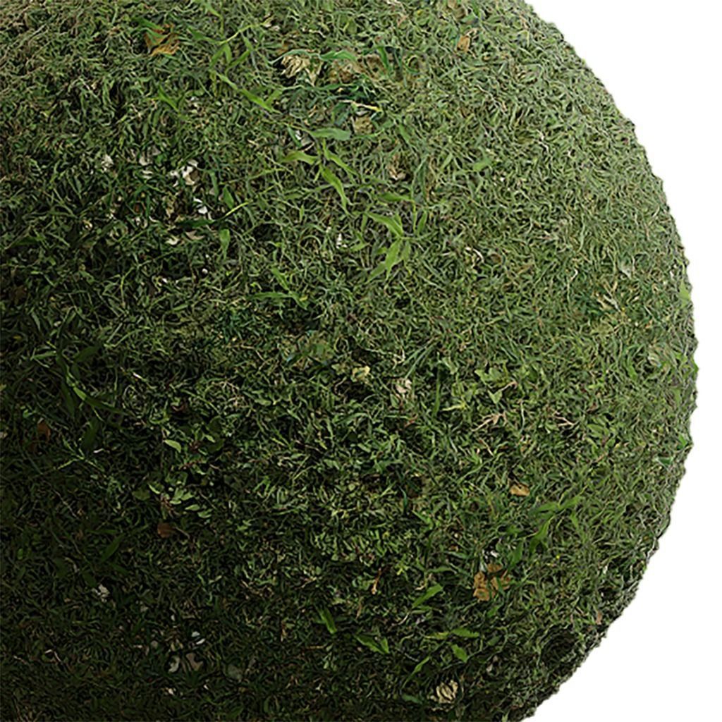 Grass Seamless Texture 2K - EXR 5 - JPG 5 Texture Texture_2