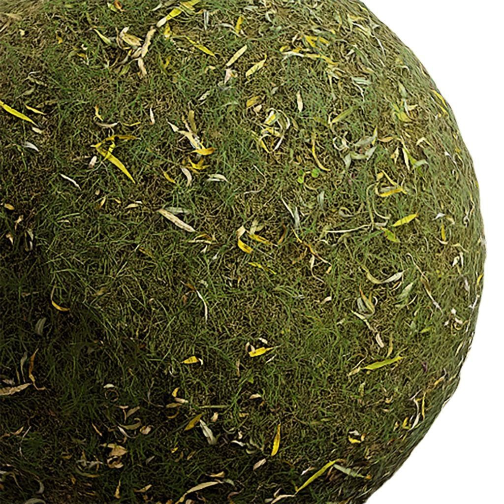 Grass Seamless Texture 2K - EXR 5 - JPG 5 Texture Texture_2