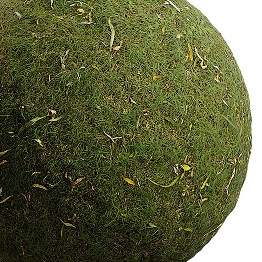 Grass Seamless Texture 2K - EXR 5 - JPG 5 Texture Texture_4