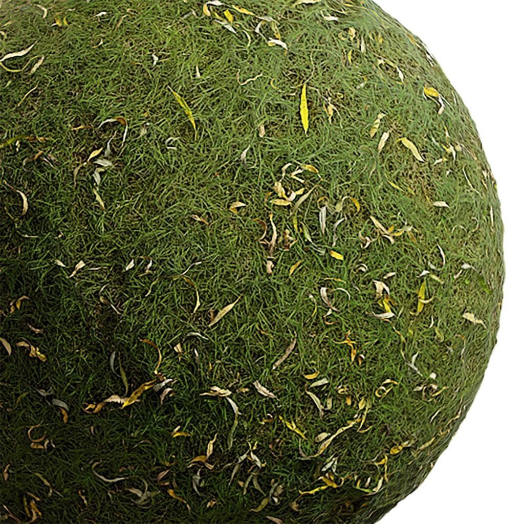 Grass Seamless Texture 2K - EXR 5 - JPG 5 Texture Texture_1