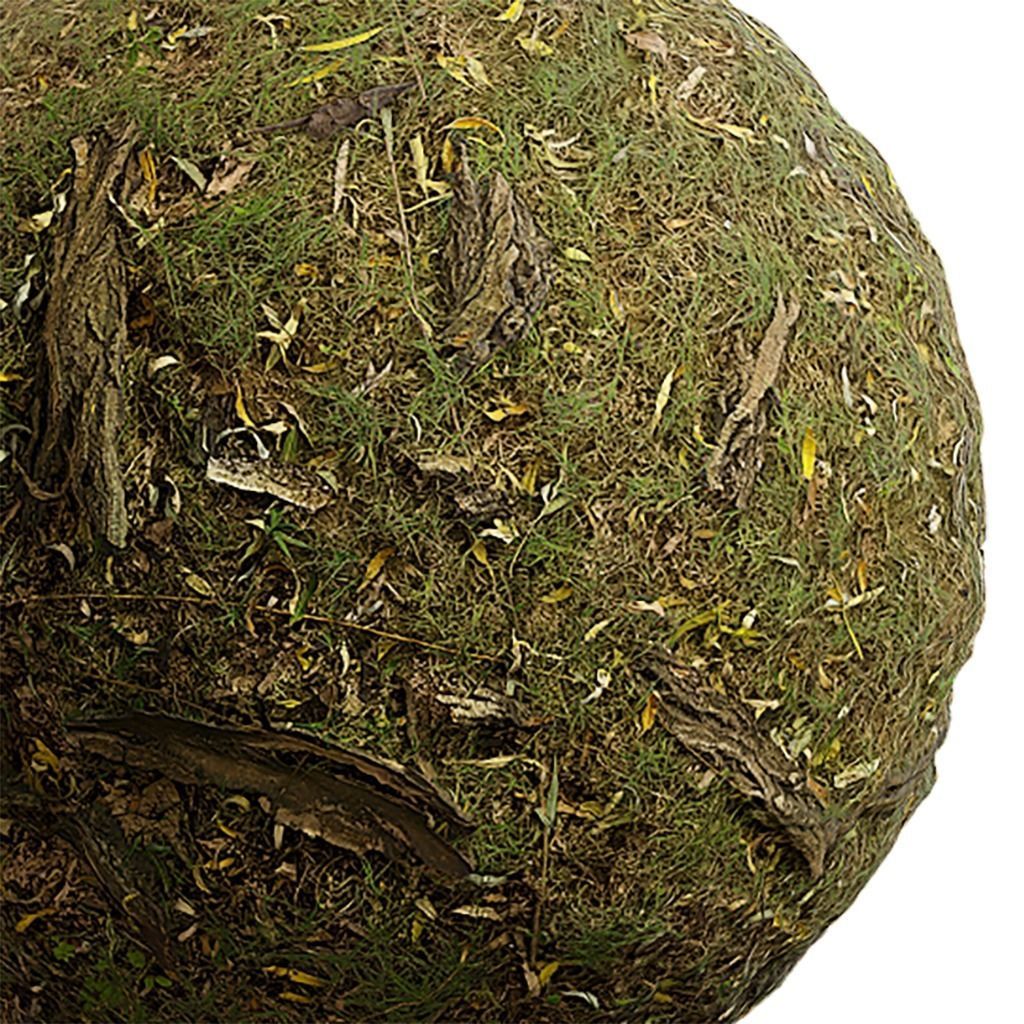 Grass Seamless Texture 2K - EXR 5 - JPG 5 Texture Texture_3