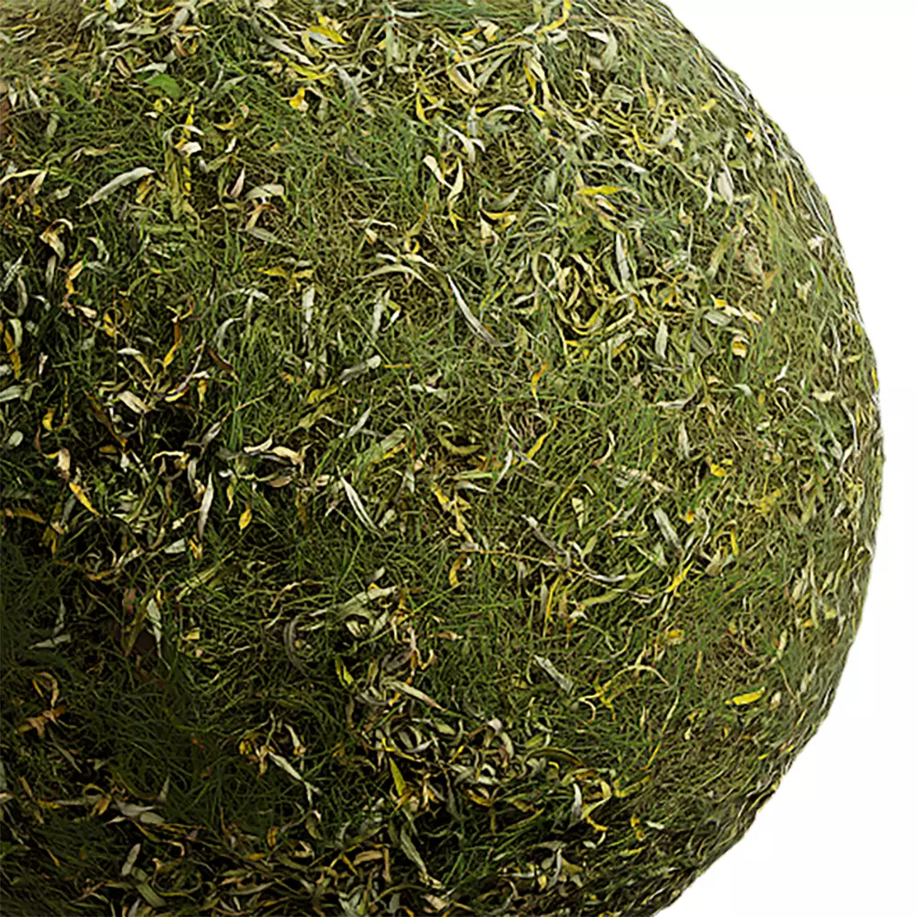 Grass Seamless Texture 2K - EXR 5 - JPG 5 Texture Texture_0