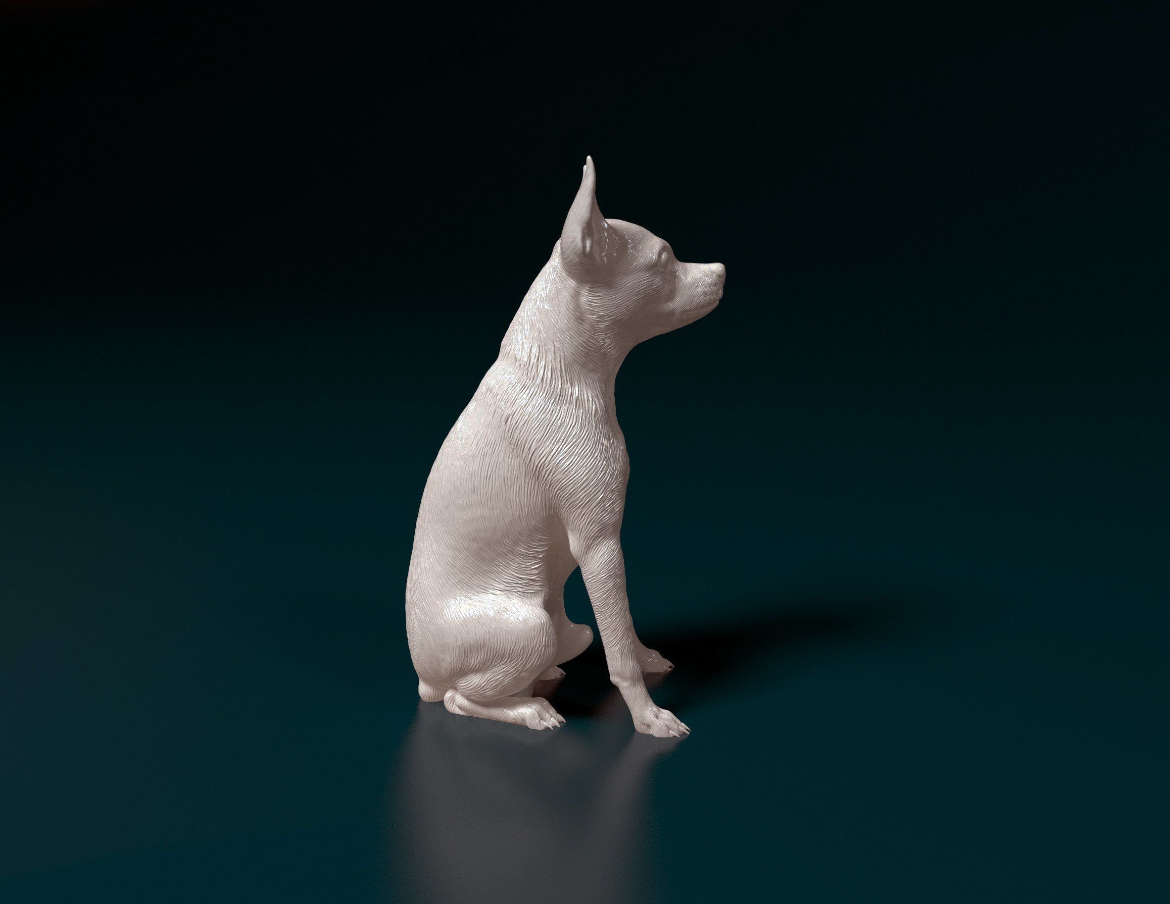 Toy terrier 3D print model_3