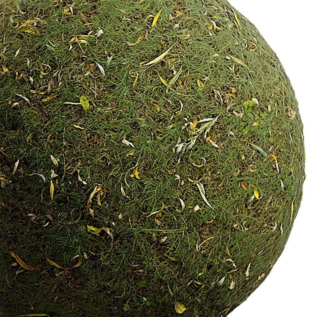 Grass Seamless Texture 2K - EXR 5 - JPG 5 Texture Texture_1