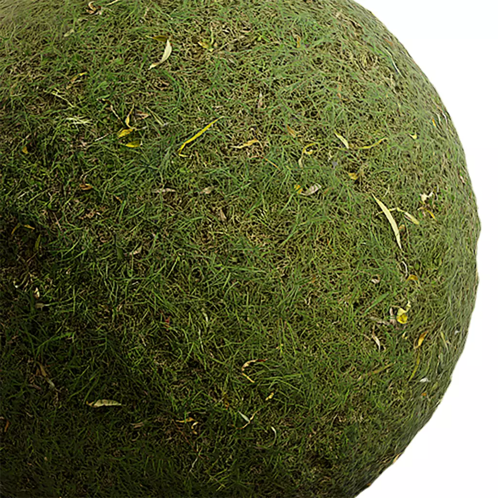 Grass Seamless Texture 2K - EXR 5 - JPG 5 Texture Texture_0